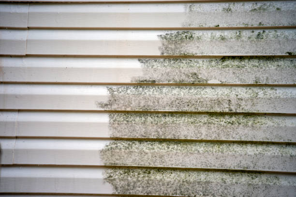 Best Fiber Cement Siding Installation  in Pinson, AL