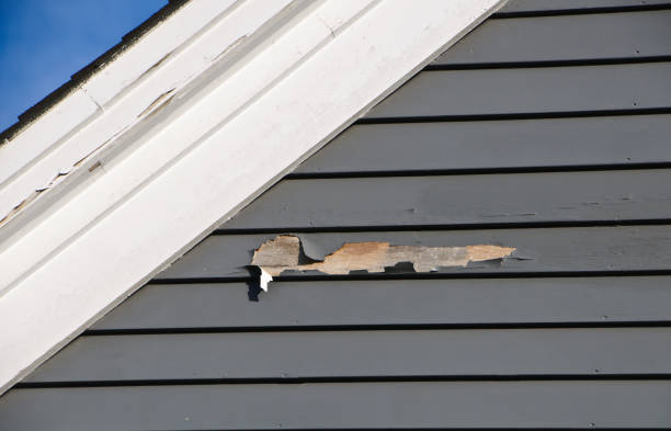 Professional Siding Installation & Repair in Pinson, AL